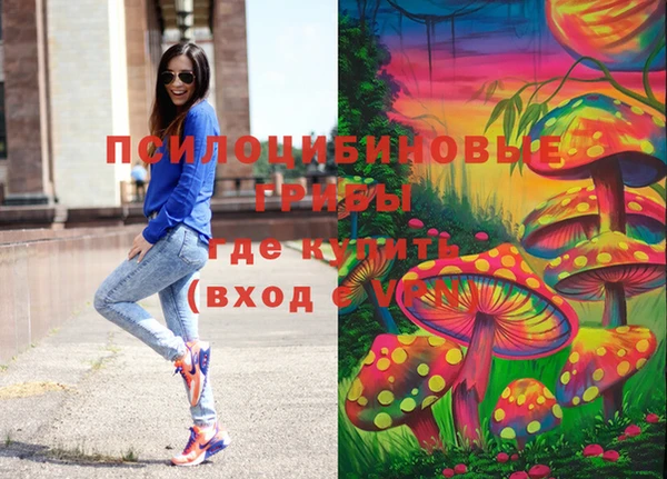 спиды Арсеньев