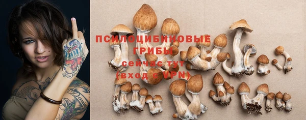 спиды Арсеньев
