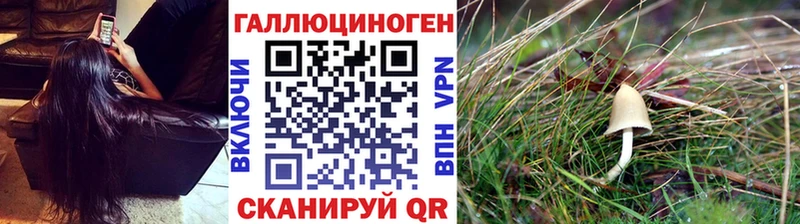 Псилоцибиновые грибы GOLDEN TEACHER  Полевской 